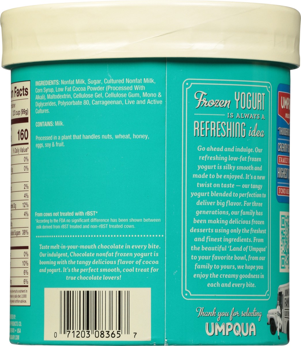 slide 4 of 9, Umpqua Non Fat Chocolate Frozen Yogurt 1.5 qt, 1.5 qt