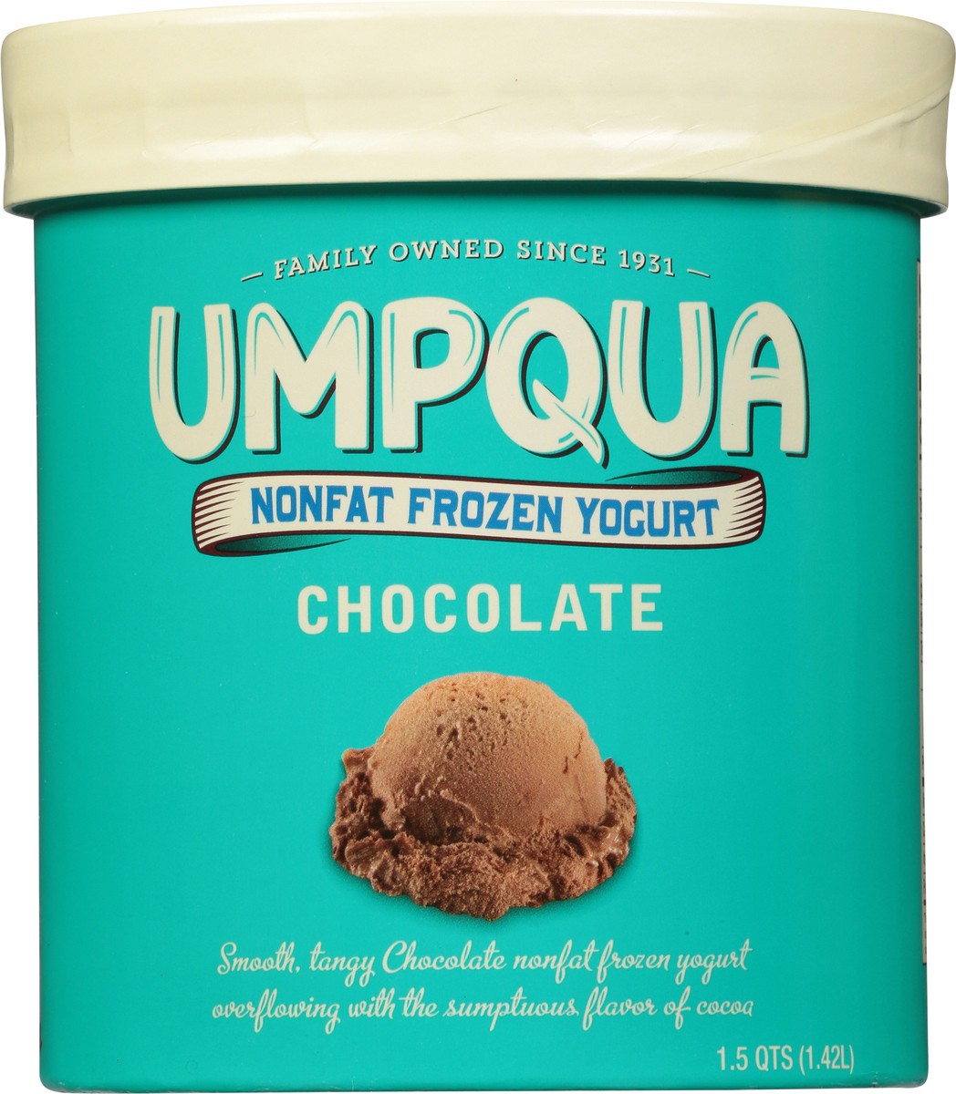 slide 8 of 9, Umpqua Non Fat Chocolate Frozen Yogurt 1.5 qt, 1.5 qt