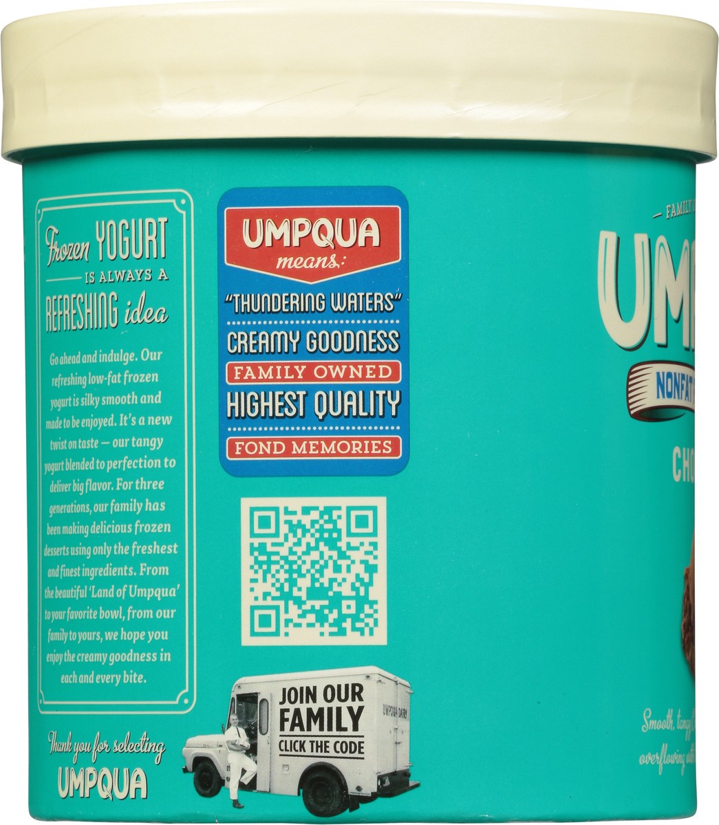 slide 2 of 9, Umpqua Non Fat Chocolate Frozen Yogurt 1.5 qt, 1.5 qt