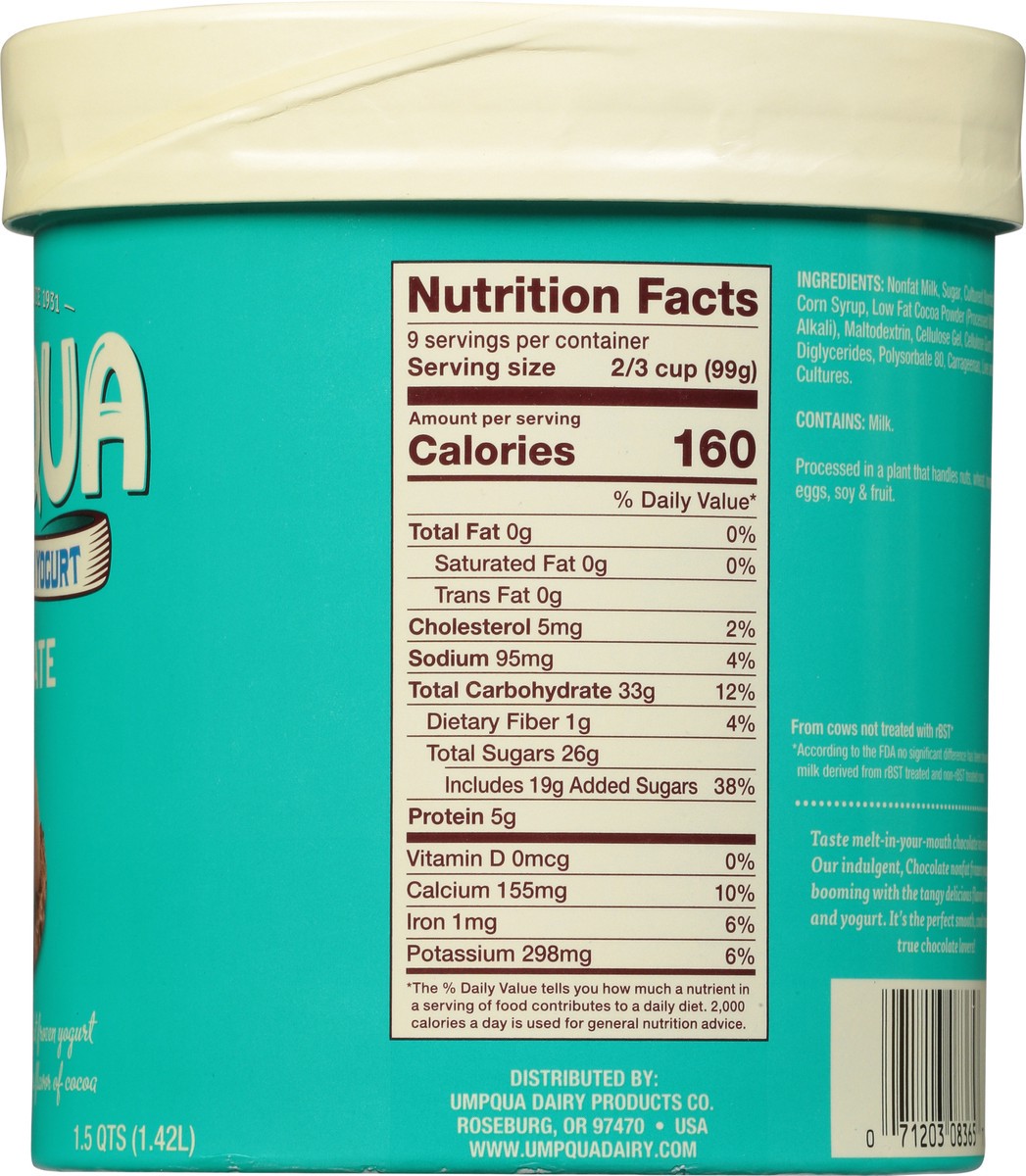 slide 7 of 9, Umpqua Non Fat Chocolate Frozen Yogurt 1.5 qt, 1.5 qt
