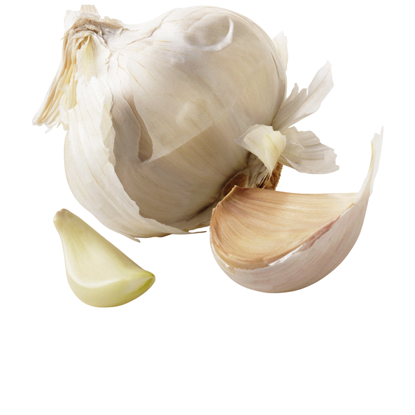 slide 1 of 1, AuerPAK Org-Garlic, 8 oz