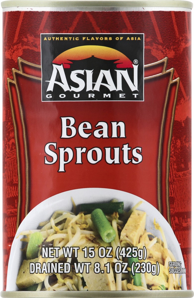 slide 4 of 13, Asian Gourmet Whole Bean Sprouts, 15 oz