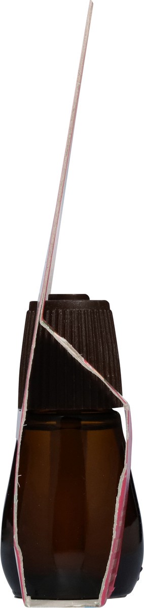 slide 11 of 13, Air Wick Essential Mist Refill, 1 ct, Vanilla and Pink Papaya, Essential Oils Diffuser, Air Freshener, 1 ct