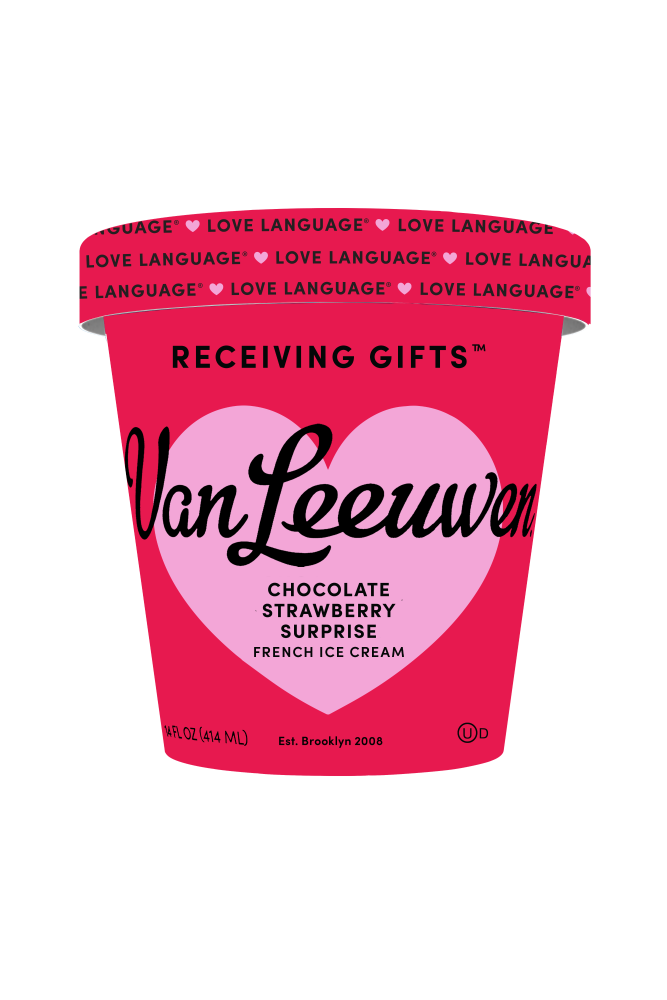 slide 1 of 1, Van Leeuwen Ice Cream Receiving Gifts™- Chocolate Strawberry Surprise, 14 fl oz