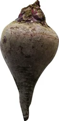 Fresh Beets 