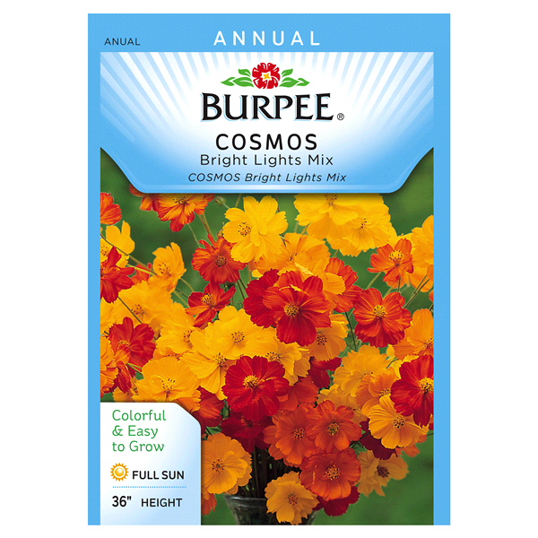 slide 1 of 1, Burpee Cosmos Bright Lights Mix Seeds, 1 ct