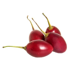 Fresh Tamarillos