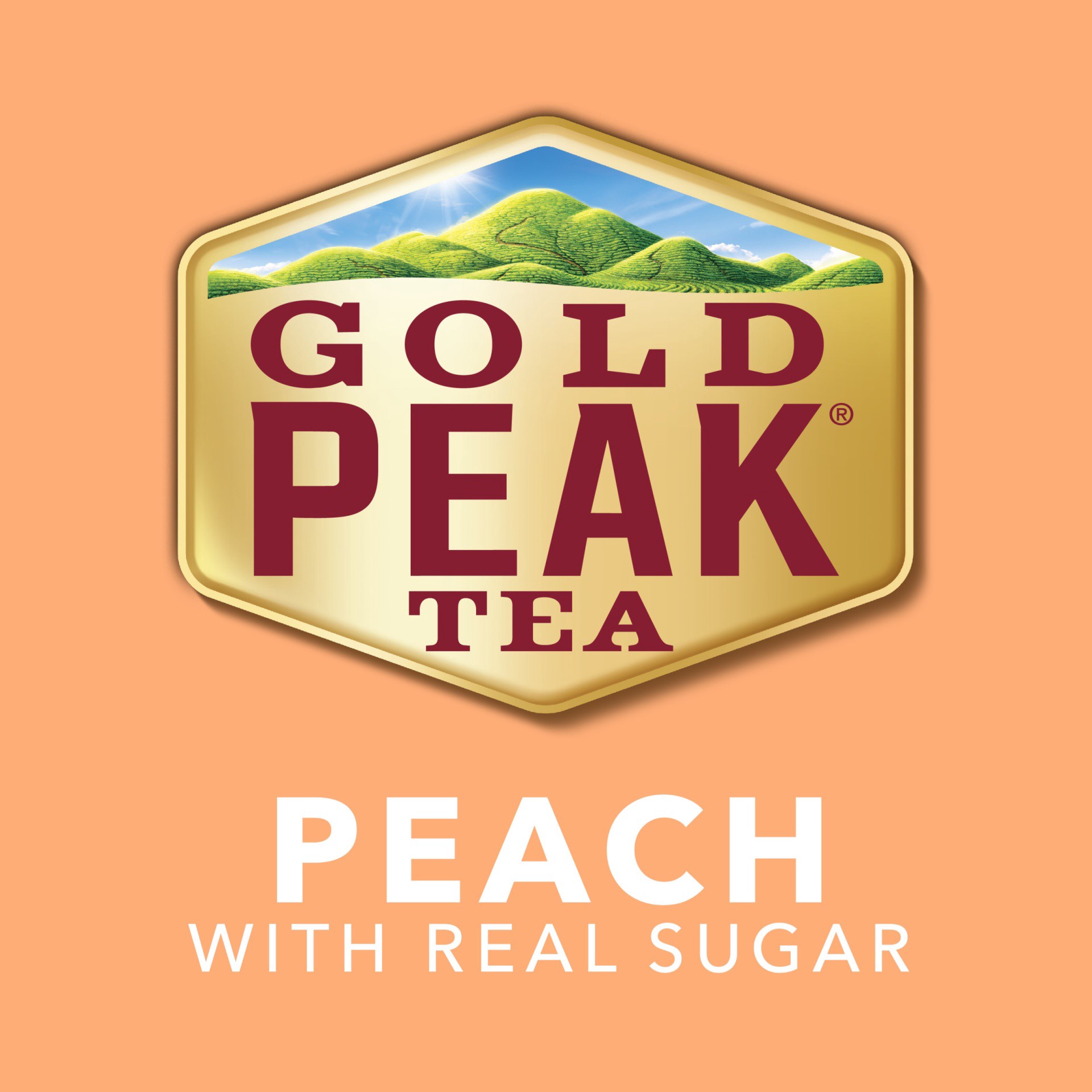 slide 16 of 16, Gold Peak Peach Tea 6 oz, 6 oz