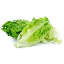 Veg-Land Organic Romaine Hearts