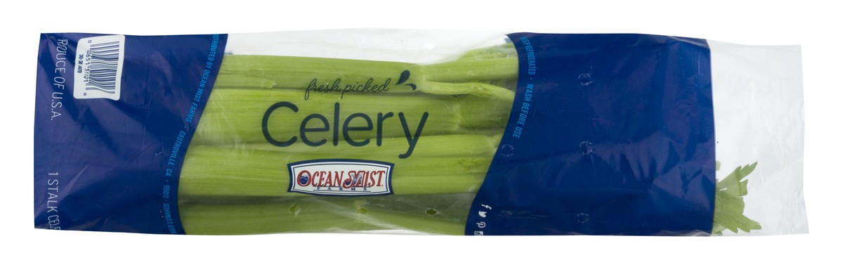 slide 1 of 9, Ocean Mist Farms Fresh Picked Celery, 1 ct