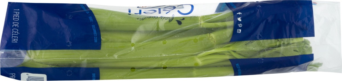 slide 3 of 9, Ocean Mist Farms Fresh Picked Celery, 1 ct