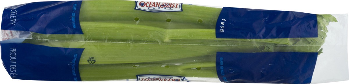 slide 7 of 9, Ocean Mist Farms Fresh Picked Celery, 1 ct