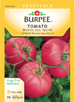 slide 1 of 1, Burpee Brandy Boy Hybrid Tomato Seeds, 1 ct