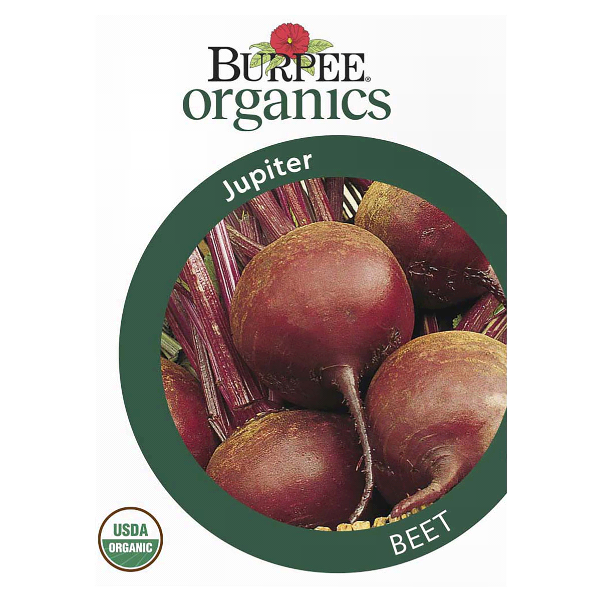 slide 1 of 5, Burpee Organic Beet Jupiter Seeds, 1 ct