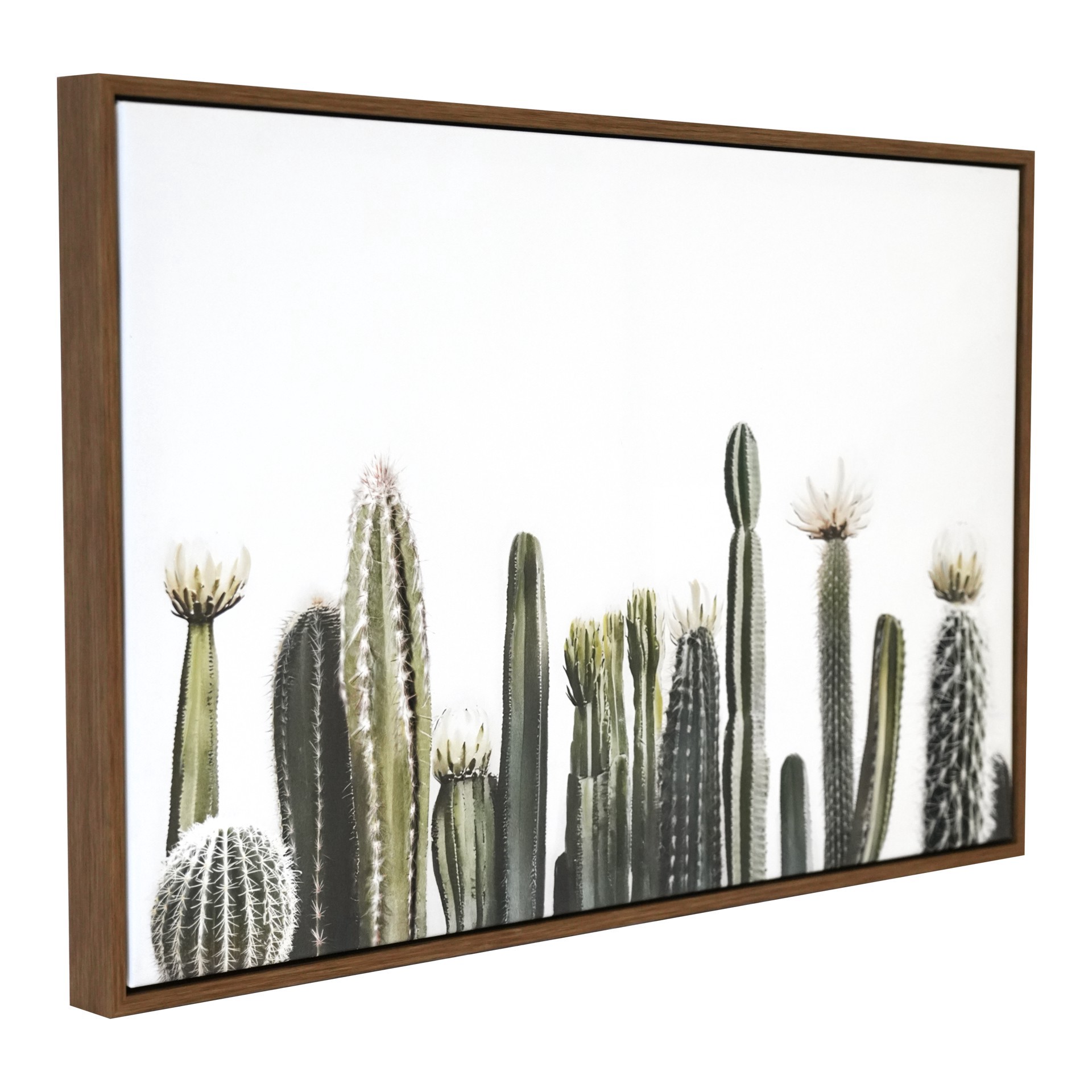slide 2 of 5, 24" Cacti On White Background Wall Canvas By Ashland, 24 in x 16 in