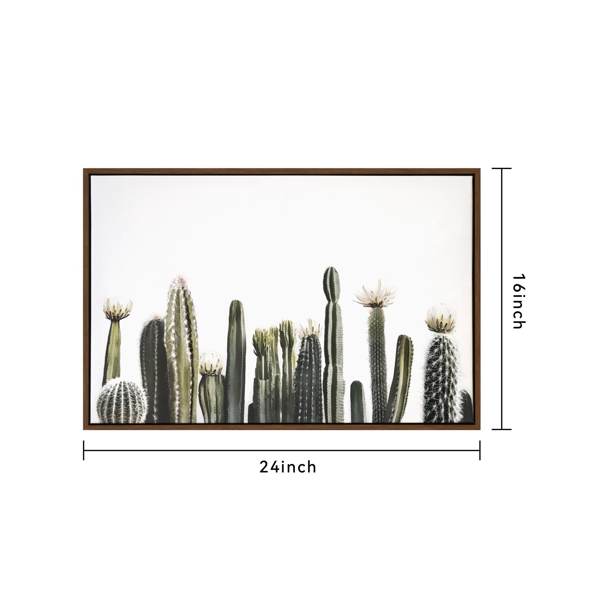 slide 5 of 5, 24" Cacti On White Background Wall Canvas By Ashland, 24 in x 16 in