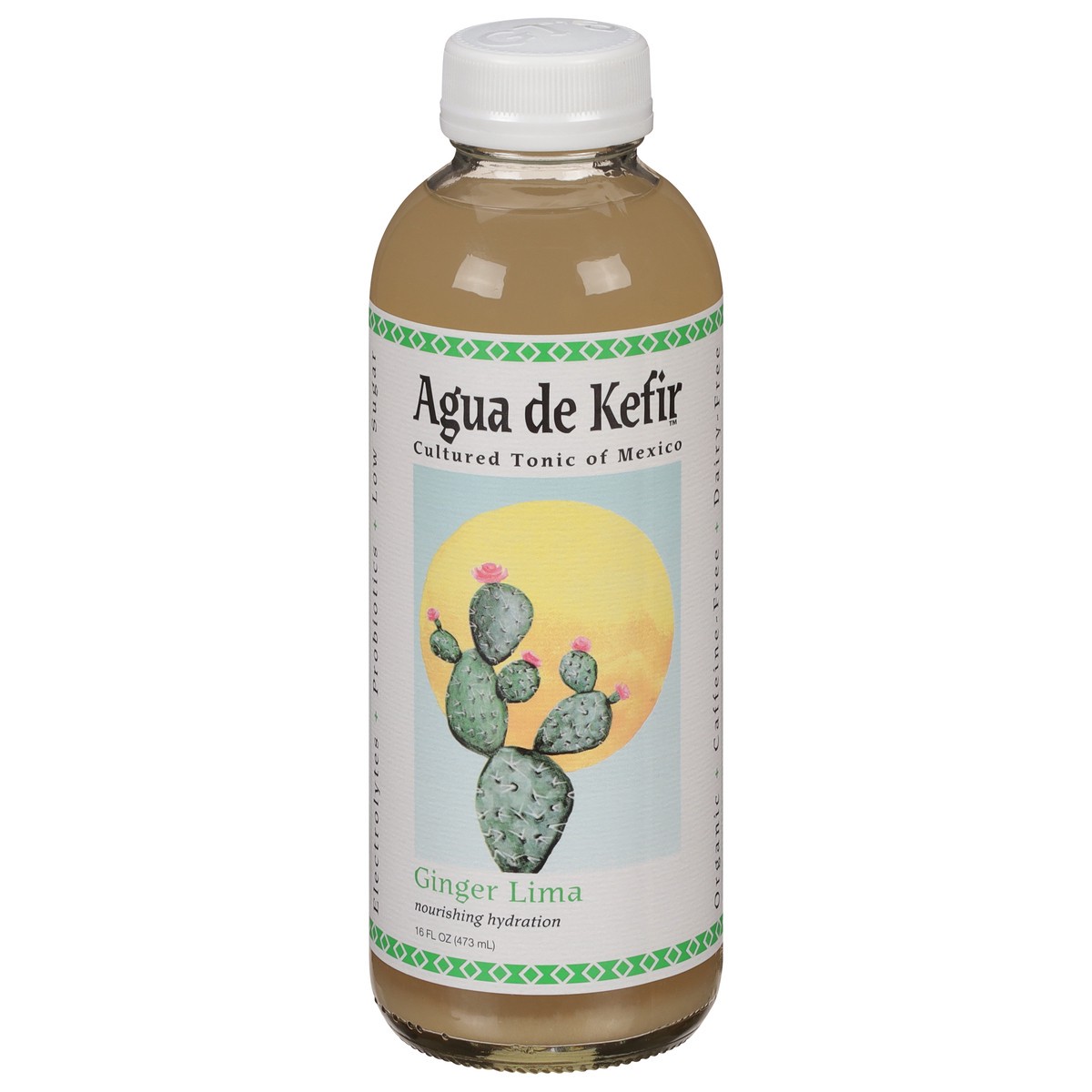 slide 1 of 12, GT's Gt's Ginger Lime Aqua De Kefir, 16 fl oz