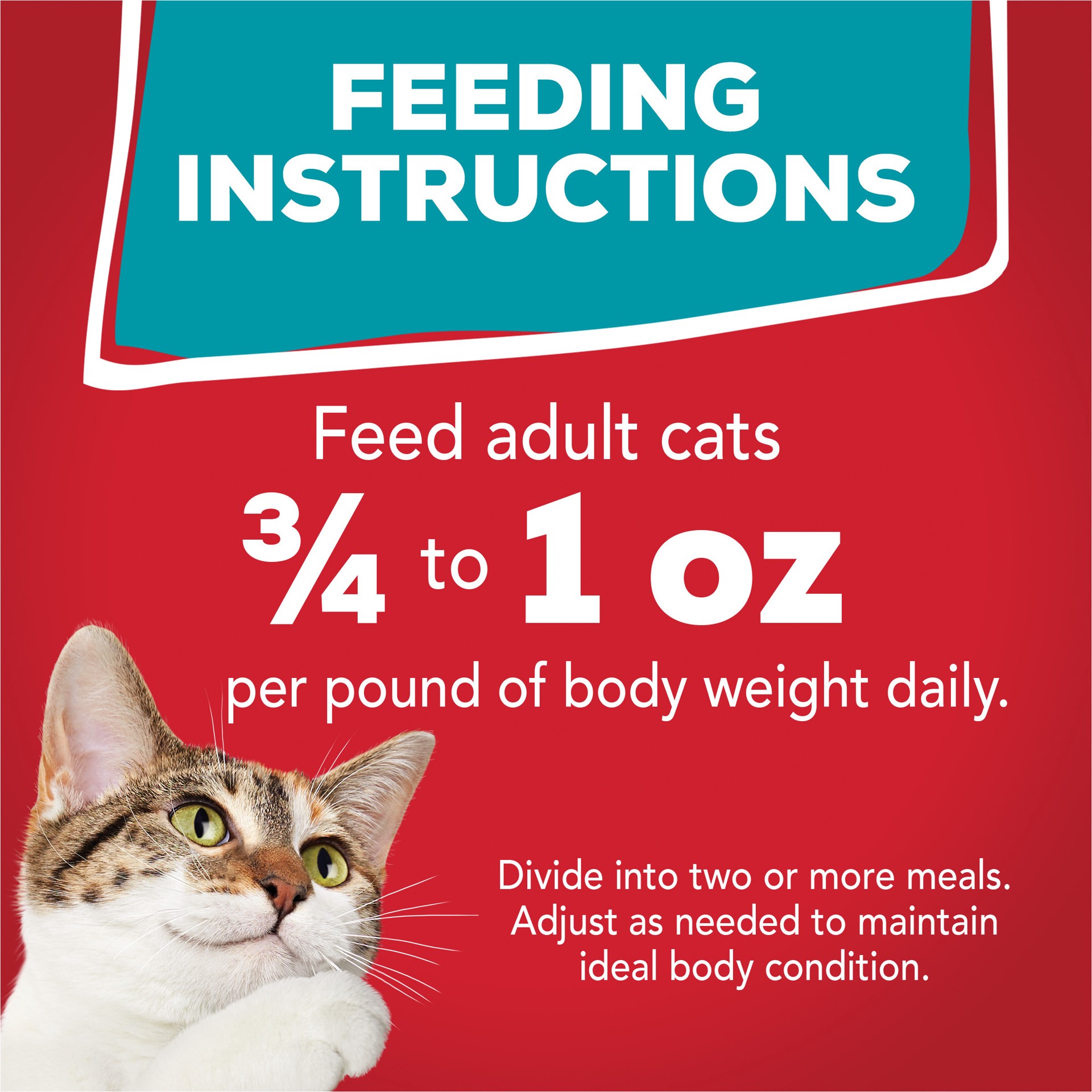 slide 3 of 7, Friskies Purina Friskies Wet Cat Food Tasty Treasures Pate With Liver and Beef, 5.5 oz