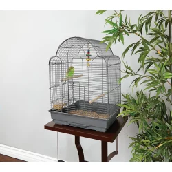You & Me Parakeet Scallop Top Cage