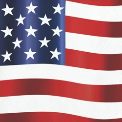 Creative Converting Festive Flag Beverage Napkin, 16 ct.