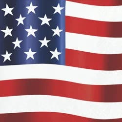 Creative Converting Festive Flag Beverage Napkin, 16 ct.