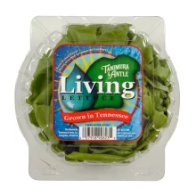 Tanimura & Antle Butter Lettuce - 1 ea