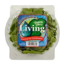 Tanimura & Antle Butter Lettuce - 1 ea