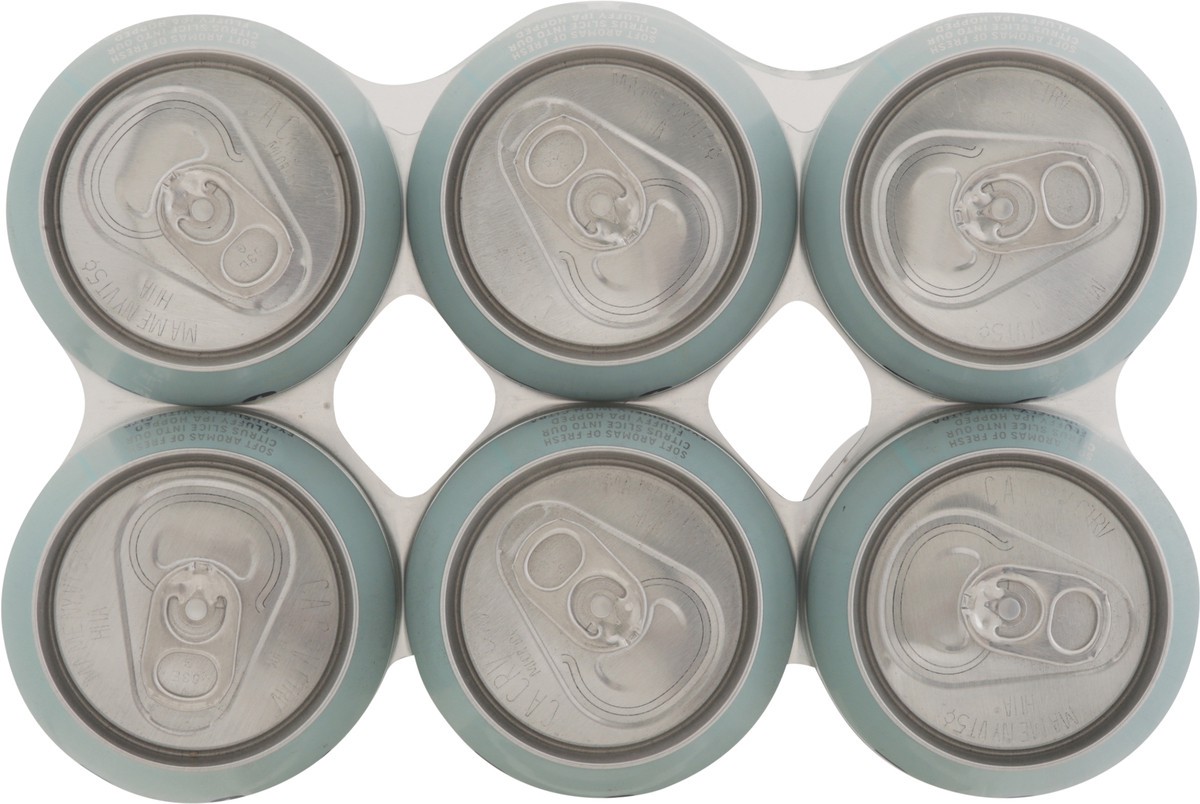 slide 8 of 11, Perfect Plain Brewing Co Hazy IPA Citra Spin Beer 6 - 12 fl oz Cans, 6 ct; 12 oz