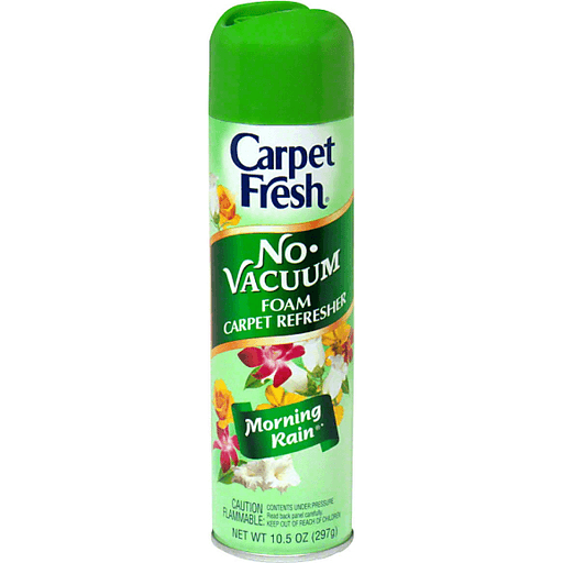 slide 1 of 1, Carpet Fresh No-Vacuum Foam Carpet Refresher, Morning Rain, 10.5 oz