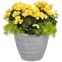 Garden Exclusives 13.0 Patio Planter