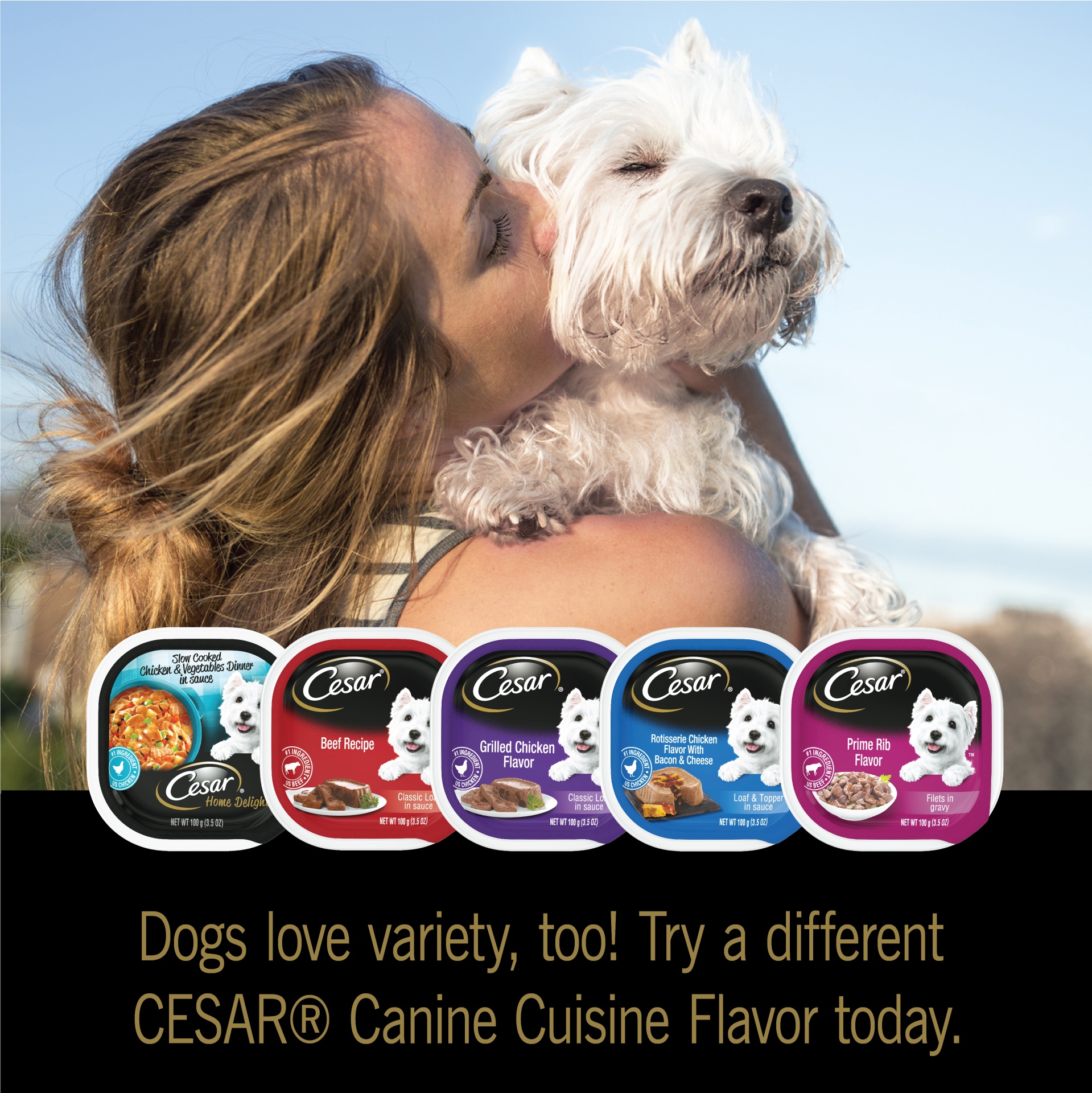 CESAR Wet Dog Food Classic Loaf in Sauce Grilled Chicken Flavor 3.5 oz