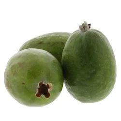 Feijoa