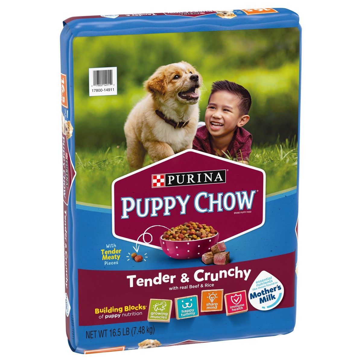 slide 8 of 14, Purina Puppy Chow High Protein Dry Puppy Food, Tender & Crunchy With Real Beef, 16.5 lb