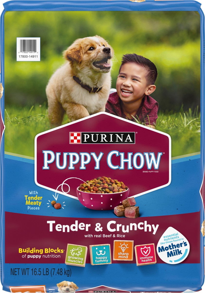 slide 9 of 14, Purina Puppy Chow High Protein Dry Puppy Food, Tender & Crunchy With Real Beef, 16.5 lb