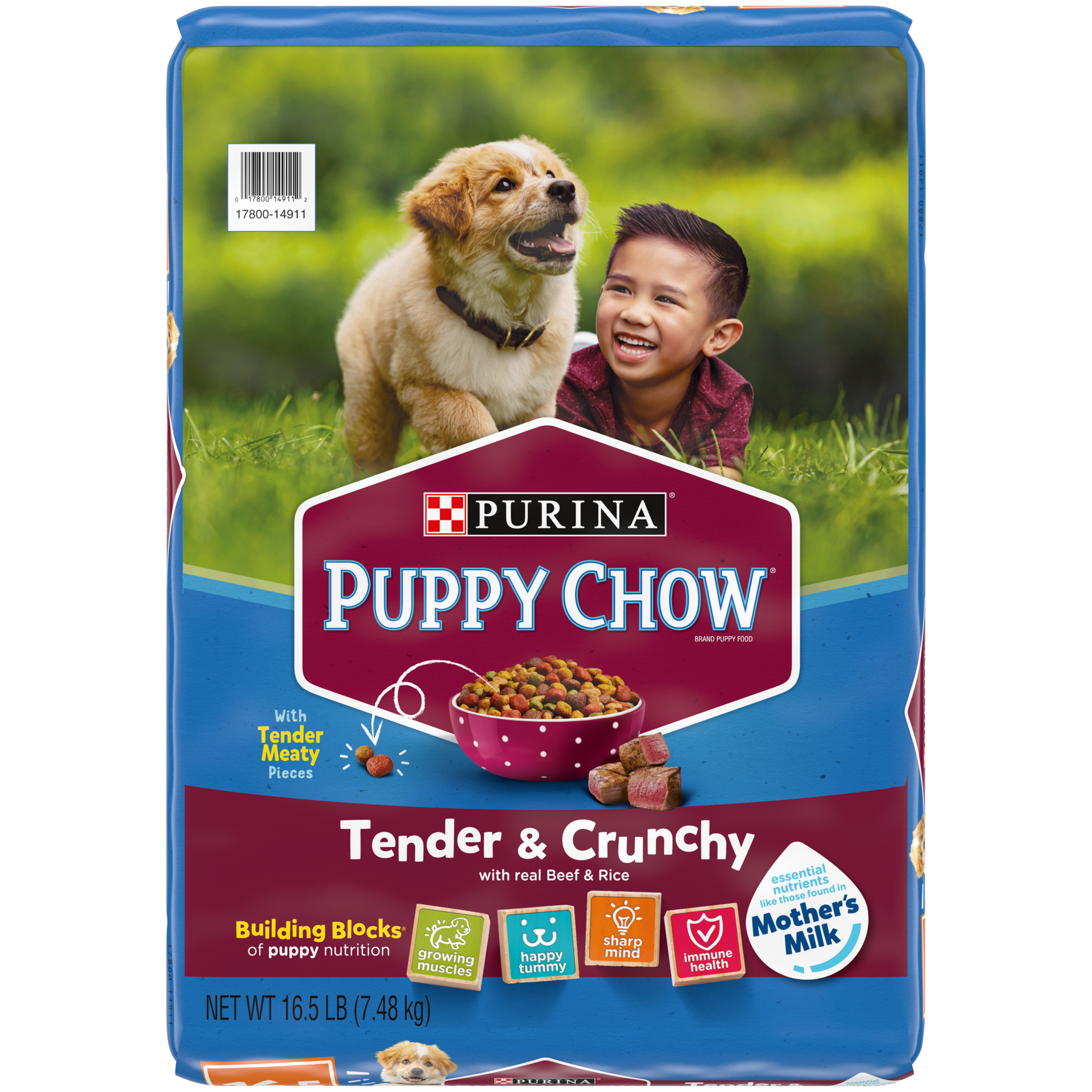 slide 1 of 14, Purina Puppy Chow High Protein Dry Puppy Food, Tender & Crunchy With Real Beef, 16.5 lb