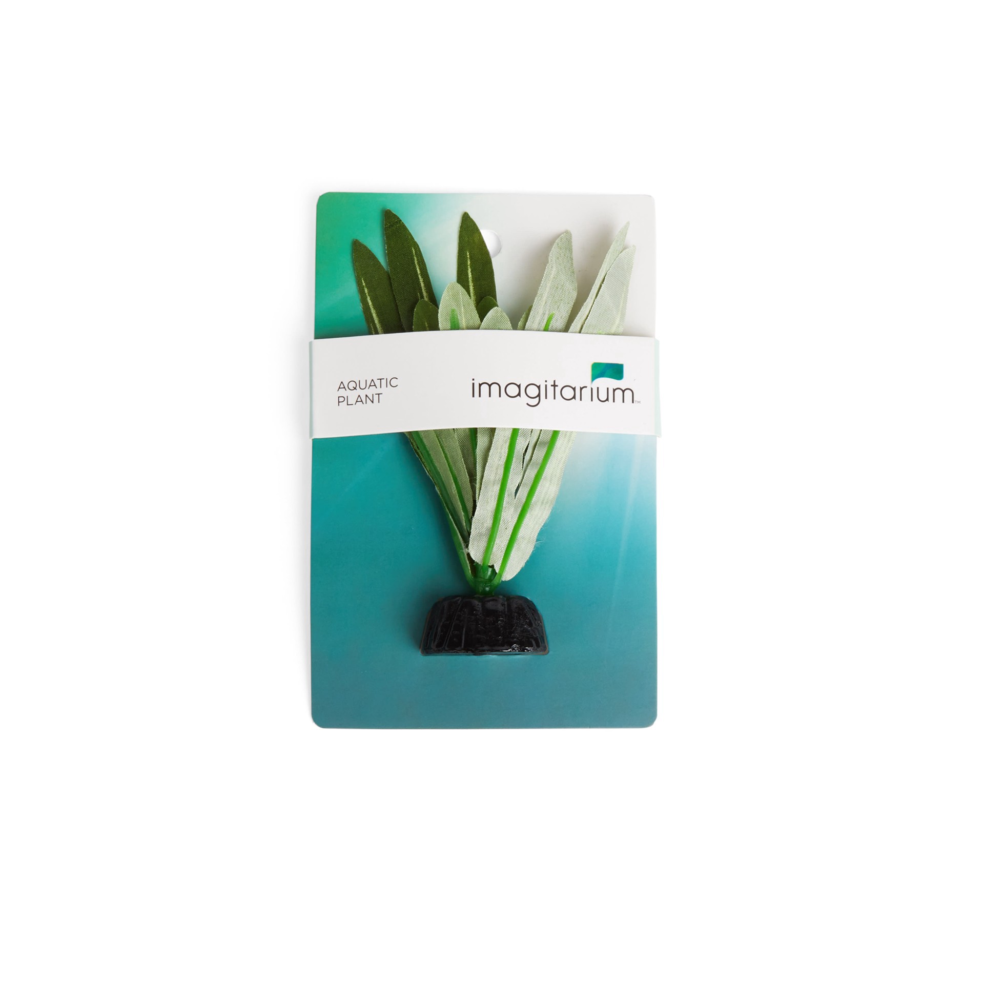 slide 1 of 1, Imagitarium Anubias Betta Plant, Small, 1 ct