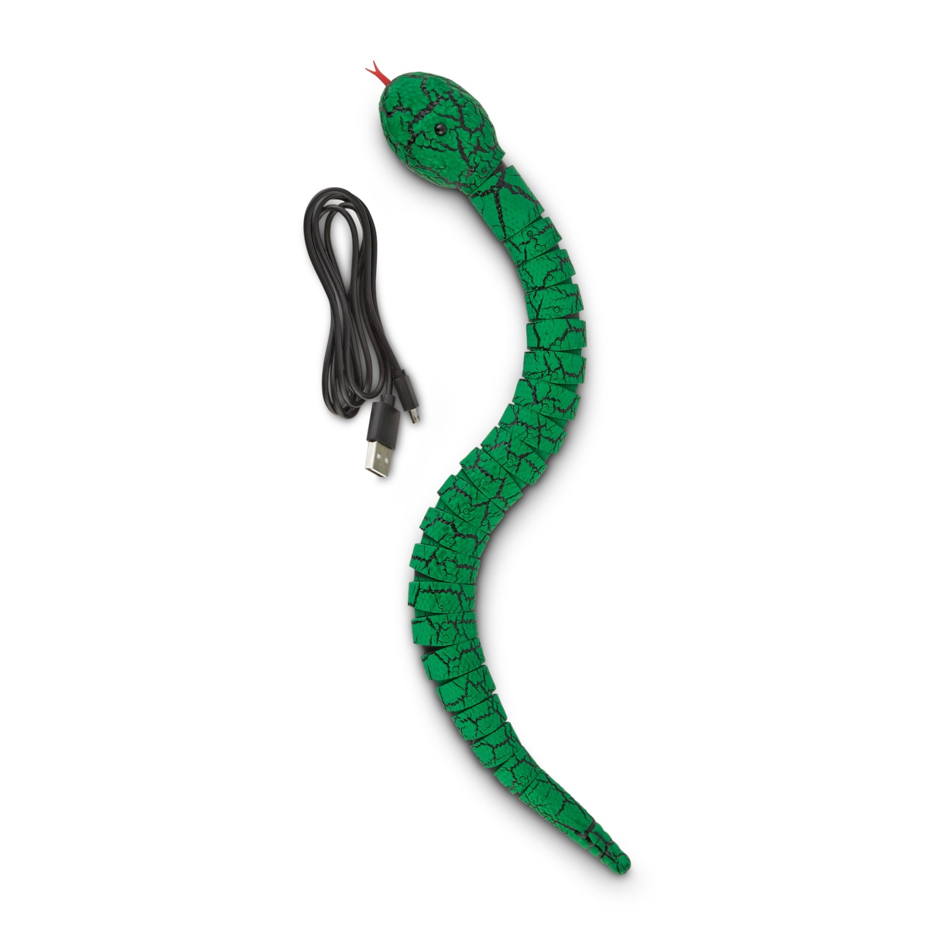 slide 1 of 1, Leaps & Bounds Seek & Swat Snake Cat Toy, 1 ct