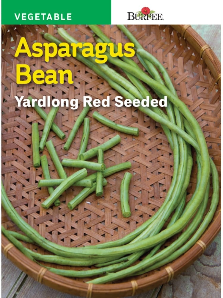 slide 1 of 1, Burpee Yardlong Red Seeded Asparagus Bean Seeds - Green, 1 ct