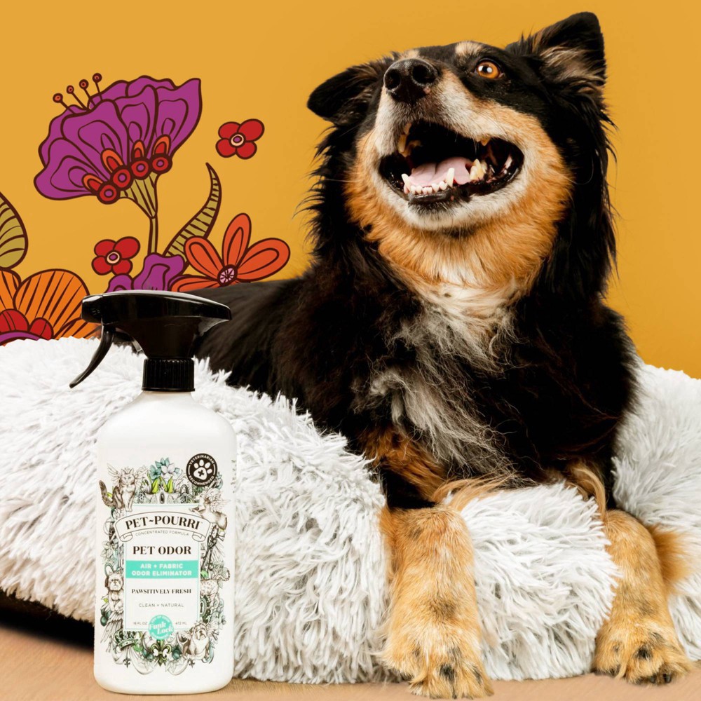 slide 48 of 61, Pet-Pourri Air + Fabric Pawsitively Fresh Pet Odor Eliminator 16 fl oz, 16 fl oz