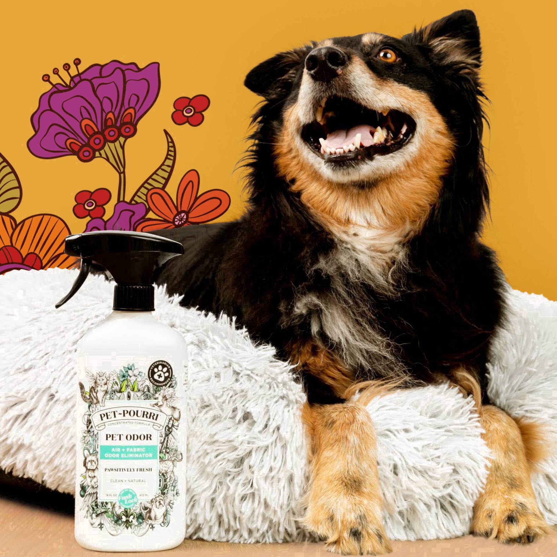 slide 22 of 61, Pet-Pourri Air + Fabric Pawsitively Fresh Pet Odor Eliminator 16 fl oz, 16 fl oz