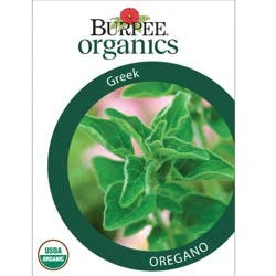 Burpee Organic Oregano Greek