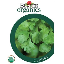Burpee Organic Cilantro