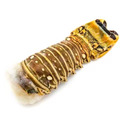 Lobster Tail From Honduras
