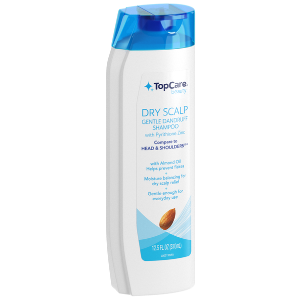 slide 1 of 1, Dry Scalp Dand Shampoo, 12.5 fl oz