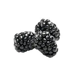 Blackberries