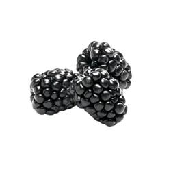 Blackberries