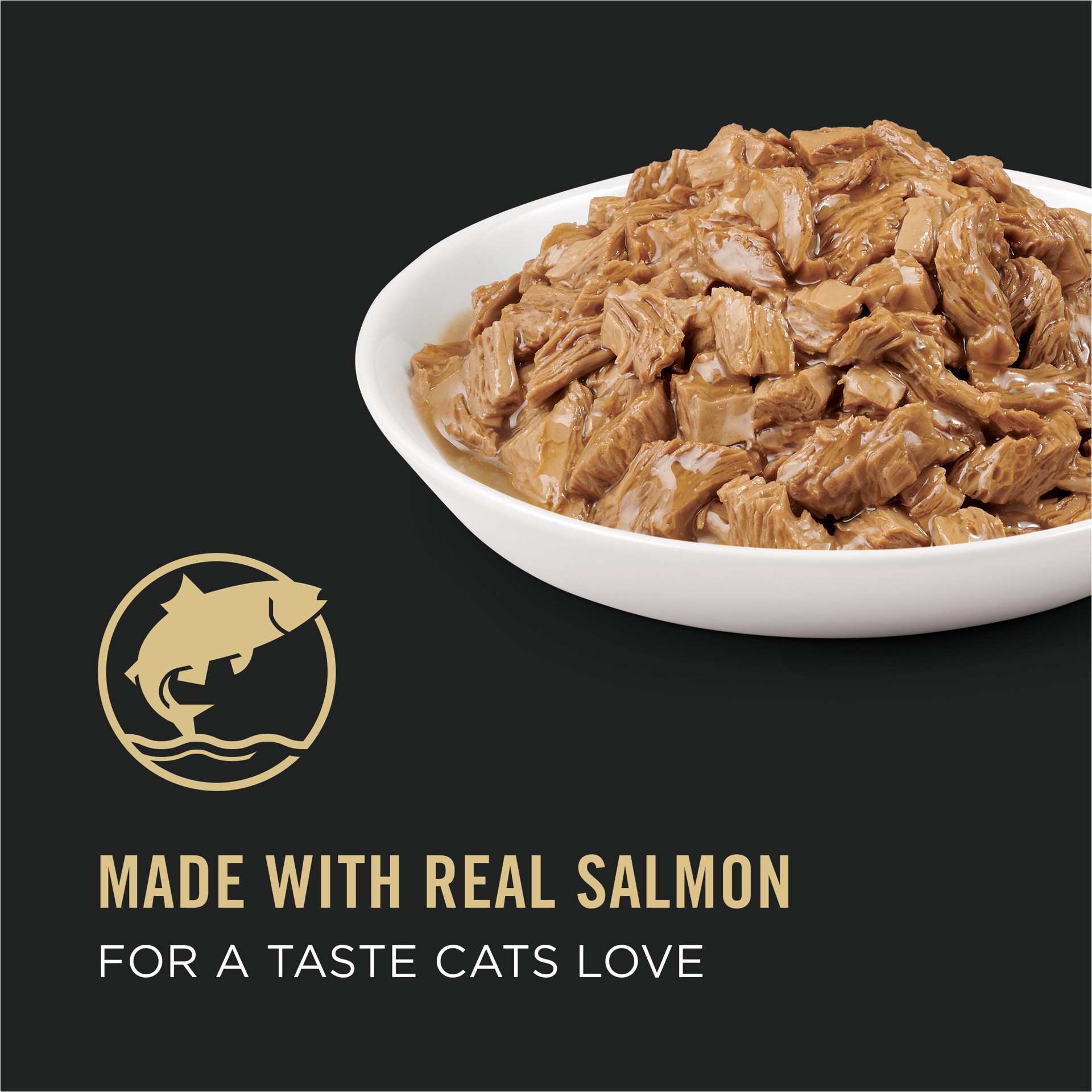 slide 4 of 9, Pro Plan Purina Pro Plan Indoor Cat Food Indoor Balance Grilled Salmon Entree in Sauce, 3 oz