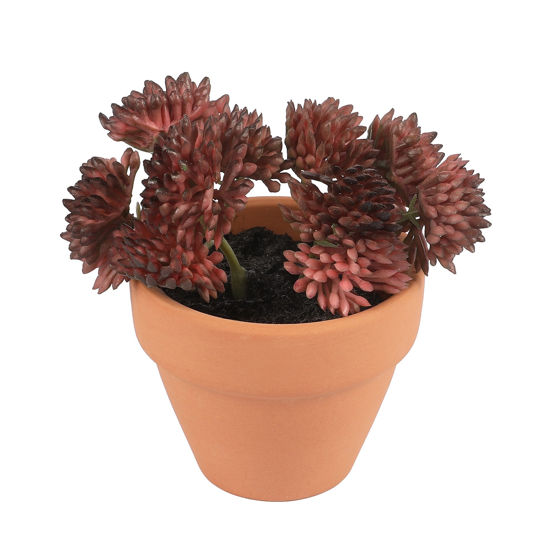 slide 6 of 7, Mini Premade Succulents In Terra Cotta Pots, 6ct. By Ashland, 6 ct