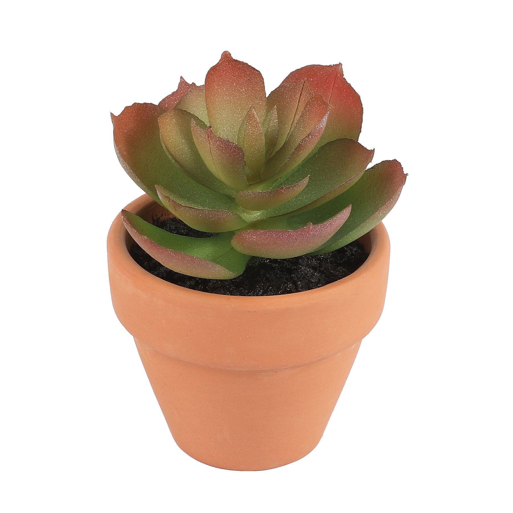 slide 2 of 7, Mini Premade Succulents In Terra Cotta Pots, 6ct. By Ashland, 6 ct