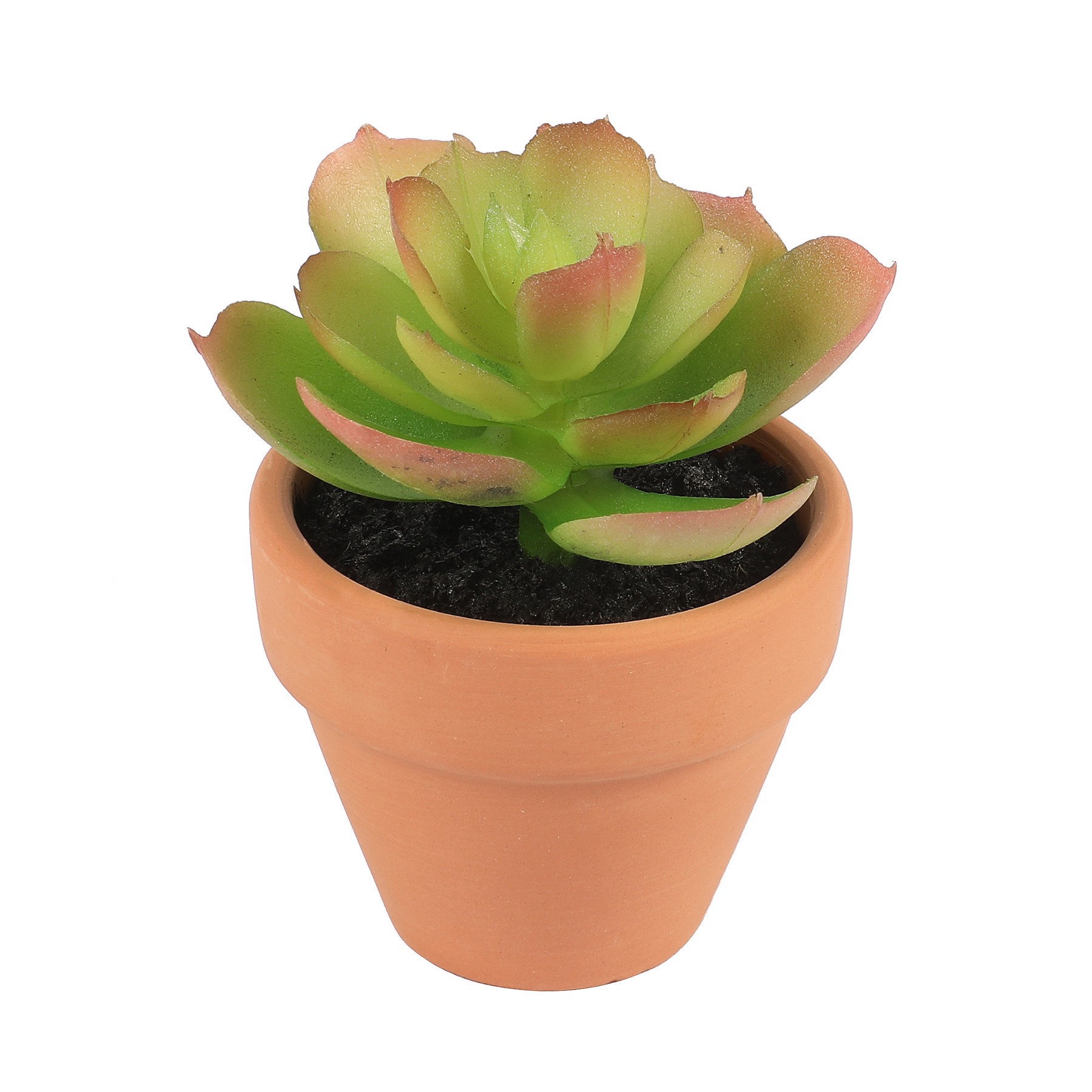 slide 5 of 7, Mini Premade Succulents In Terra Cotta Pots, 6ct. By Ashland, 6 ct